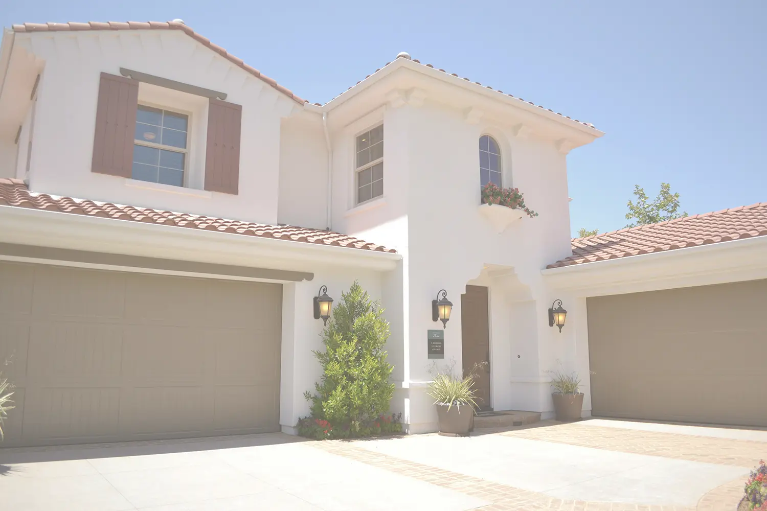 pexels-luis-yanez-206172