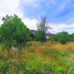 ca12ea56-68eb-4e11-a3a1-b701d53fb7eb