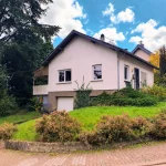 3f5a1e4b-b1cf-4218-8c94-bdef1a4ffa91