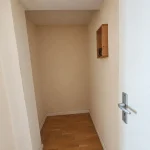 20260817_1303191001111167