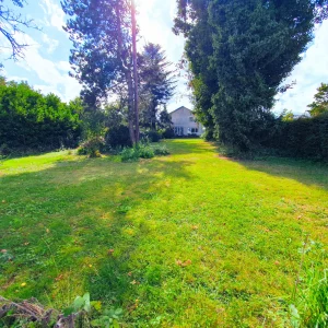 20aa9f0b-f5f0-4be7-a8db-abf81575c16c